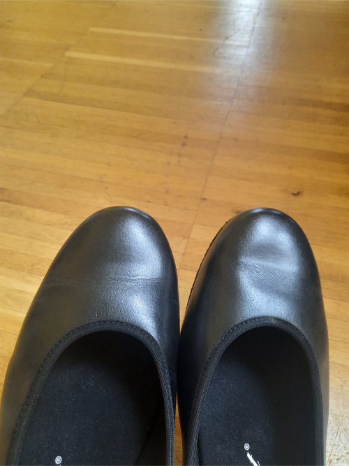Diamant Damen Ballerinas 175-005-034 - Leder Schwarz - 1,2 cm Block [UK 8]